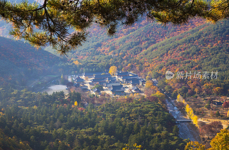 VD726 青岛云门寺